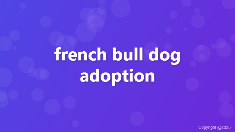 french bull dog adoption