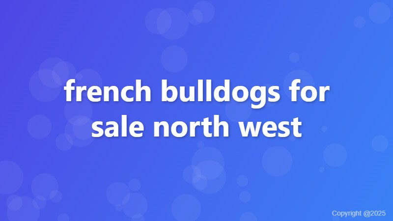 french bulldogs for sale north west